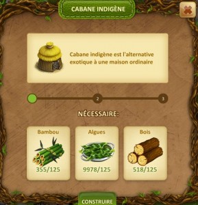 cabaneindigene01